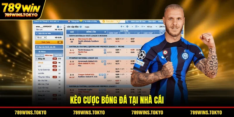 Kèo cược bóng đá tại nhà cái