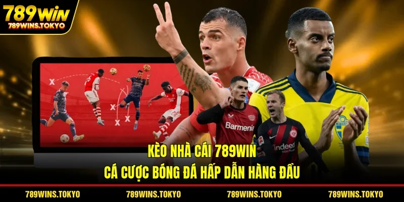 Kèo Nhà Cái 789WIN - Cá Cược Bóng Đá Hấp Dẫn Hàng Đầu