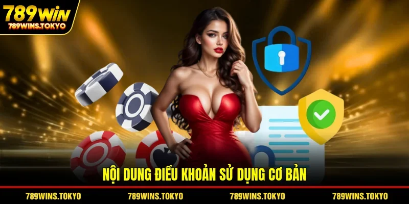 Nội dung điều khoản sử dụng cơ bản 