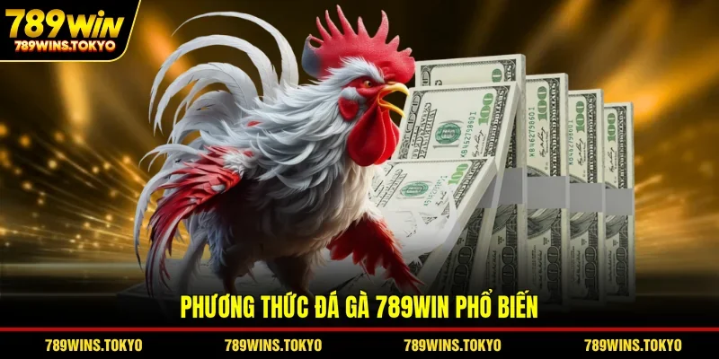 Phương thức đá gà 789WIN phổ biến