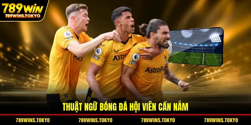 Thuật ngữ bóng đá hội viên cần nắm