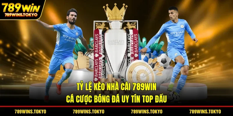Tỷ Lệ Kèo Nhà Cái 789WIN - Cá Cược Bóng Đá Uy Tín Top Đầu